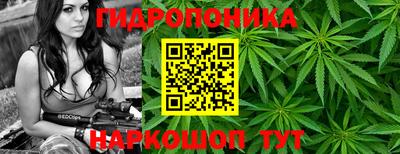 spice Будённовск